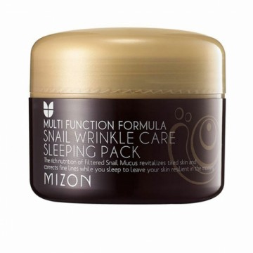 Repairing Night Mask Mizon Multi Function Formula