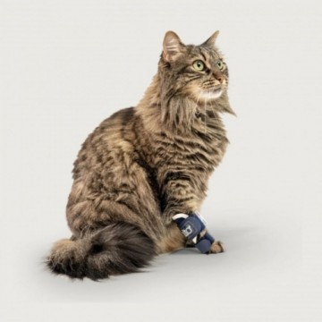 Joyvet Srl BALTO ortoze suņiem un kaķiem BT Splint (Carpal and Tarsal Splint Dog and Cat) XS