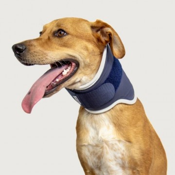 BALTO ortoze suņiem un kaķiem BT Neck (Rigid Neck Brace) S