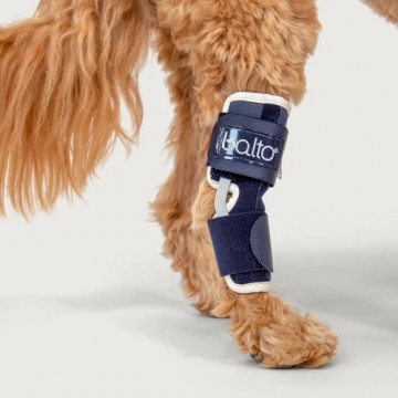 Joyvet Srl BALTO ortoze suņiem BT Hock Brace X-Large