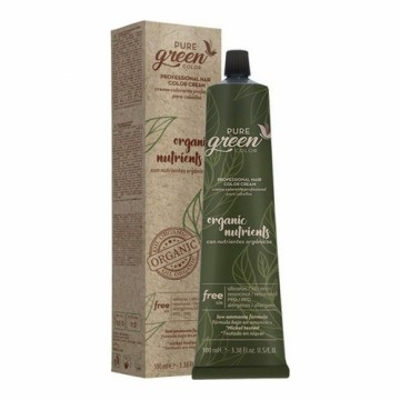 Krāsojošs Krēms Pure Green Nº 8.1 (100 ml)