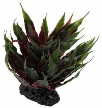 Garden decor : Repti Planet Agave succulent green, 18 cm