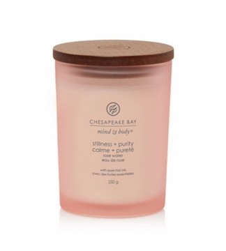 Chesapeake Bay Stillness + Purity scented candle 250 g