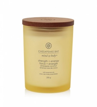 Chesapeake Bay Strength + Energy scented candle 250 g