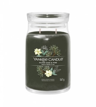 Yankee Candle Silver Sage & Pine signature candle 567 g