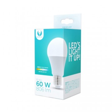 LED bulb E27 A60 10W 230V 6000K 806lm Forever Light