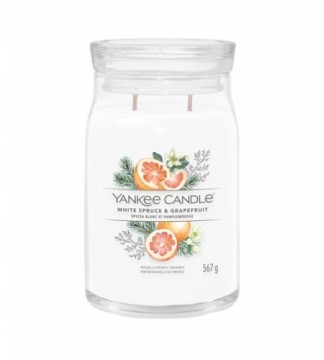 Yankee Candle White Spruce & Grapefruit signature candle 567 g