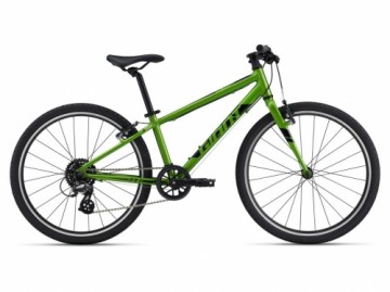 Bērnu velosipēds Giant ARX 24 Metallic Green (gab.)