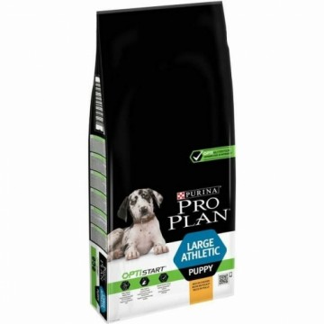 Фураж Purina Large Athletic Puppy with OPTISTART Щенок / Юниор Курица 12 kg