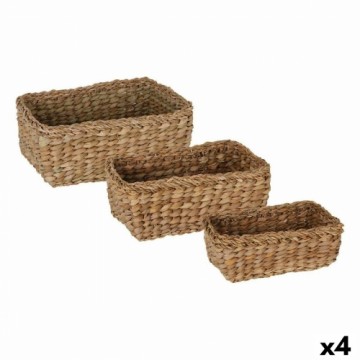 Basket set Privilege Privilege Rectangular