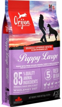 Orijen Puppy Large 6 kg Chicken, Fish, Turkey