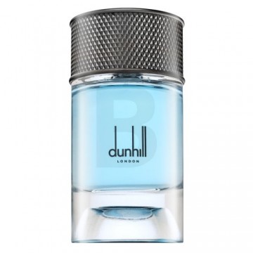 Dunhill Signature Collection Nordic Fougere parfimērijas ūdens vīriešiem 100 ml