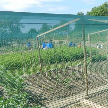 ORTOFLEX Anti-bird screen 2x5m