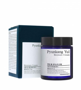 Pyunkang Yul Moisture Cream 100ml