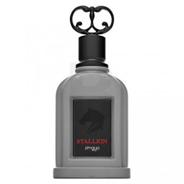 Zimaya Stallion parfimērijas ūdens vīriešiem 100 ml