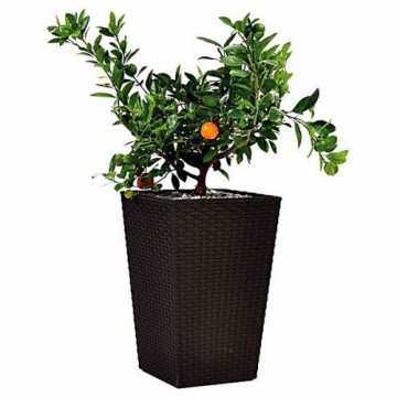 Keter Rattan Planter L 144 8L puķu pods  brūns 29192302590