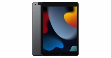 iPad 9 10.2" 256GB WiFi + Cellular - Space Gray (Atjaunināts, stāvoklis Ļoti labi)