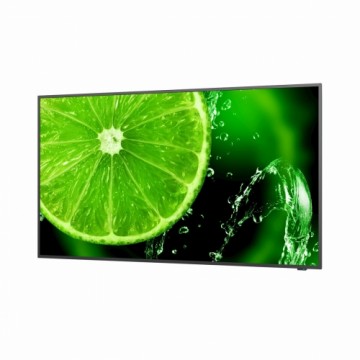 Videowall Monitor NEC 60005059 LED 4K Ultra HD 65" 60 Hz 65"