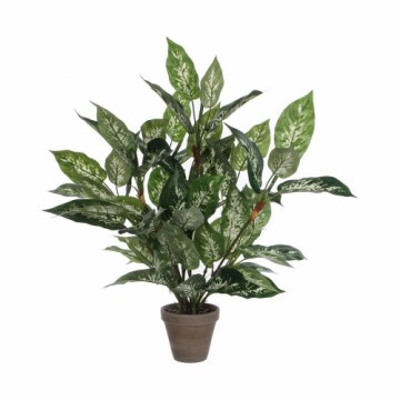 Dekoratīvs Augs Mica Decorations Dieffenbachia Dieffenbachia Zaļš PVC (15,7 x 70 cm)