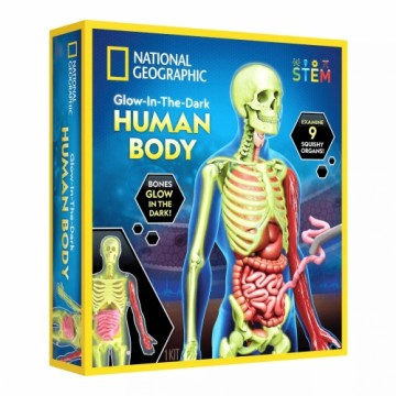 NATIONAL GEOGRAPHIC set Glow in the Dark Human Body, RTHUMBODY