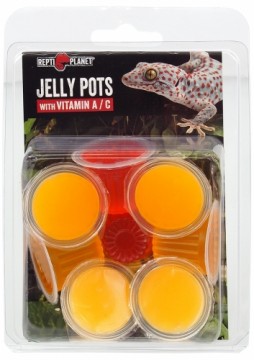 Дополнительный корм для рептилий : Repti Planet Jelly Pots Fruit