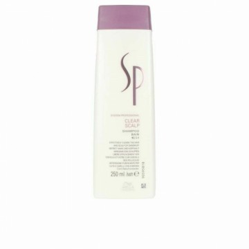 Anti-dandruff Shampoo Wella 250 ml