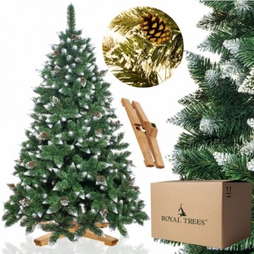 CT0192 Artificial Christmas Tree 240 cm Premium Royal Trees Snowy Diamond Pine with Cones