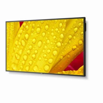 Videowall Monitor NEC 60005062 LED 4K Ultra HD 65" 60 Hz 64"