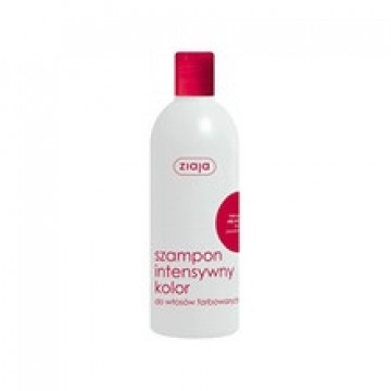 Intensive Color Shampoo 400 ml