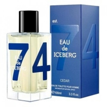 Eau de Iceberg Cedar pour Homme EDT