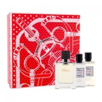 Terre D´Hermes SET EDT 50 ml + Shower Gel 40 ml + Aftershave Water 40 ml