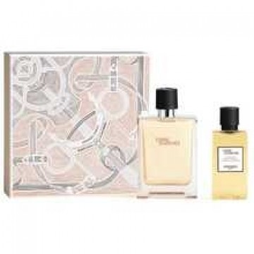 Terre D´Hermes Gift set EDT 100 ml and shower gel 80 ml