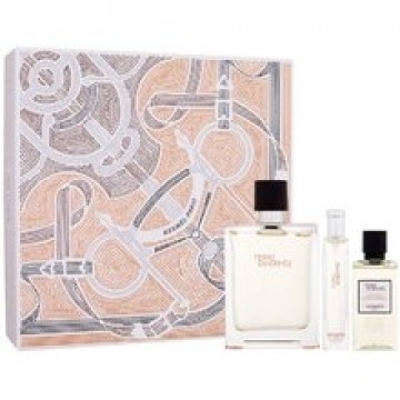 Terre d'Hermes Gift set EDT 100 ml, miniature EDT 15 ml and shower gel 40 ml