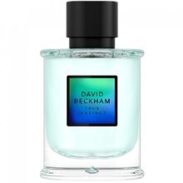 David Beckham True Instinct EDP