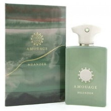 Meander EDP