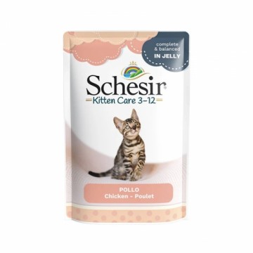 Agras Pet Foods SCHESIR Chicken fillets in jelly - wet food for kittens - 85g