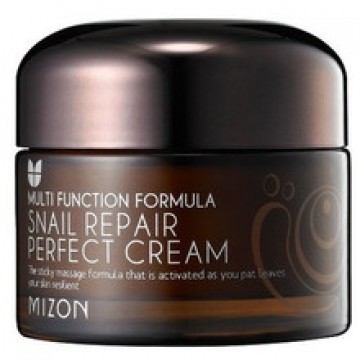 Mizon Face cream with snail secretion filtrate 60% for problematic skin (Snail Repair Perfect Cream) 50 ml