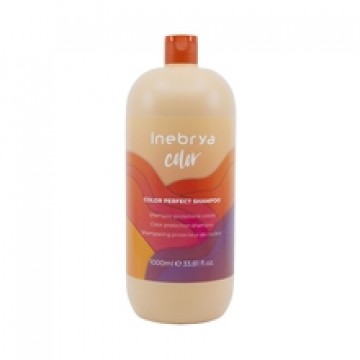 Inebrya Color Perfect Shampoo