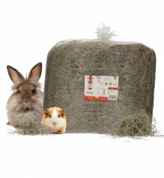 RECEK Meadow hay for rodents - hand-packed - 4 kg