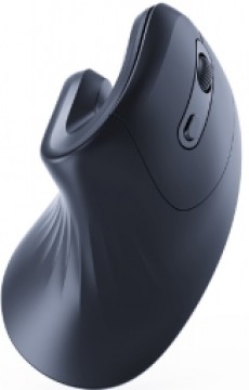 Datorpele Gembird Ergonomic 6-button Wireless Optical Mouse Black