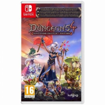 Видеоигра для Switch Microids Dungeons 4