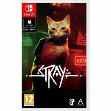 Videospēle priekš Switch Just For Games Stray