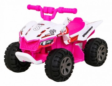 Vehicle Quad THE FASTEST Pink