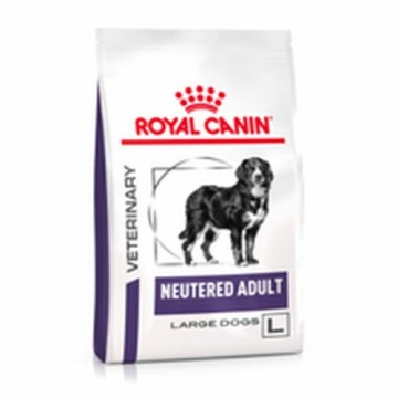 Lopbarība Royal Canin Neutered Adult Large Dog 13 kg