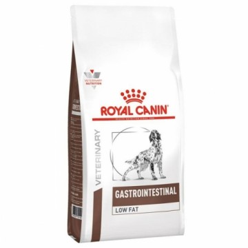 Fodder Royal Canin Gastro Intestinal Kid/Junior 2,5 kg