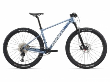 Kalnu velosipēds Giant XTC SLR 29 2 Frost Silver (2025.g) (gab.)