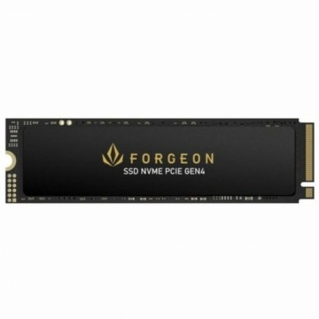 Жесткий диск Forgeon 1 TB SSD