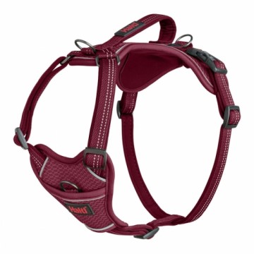 Suņu drošības siksna Company of Animals Bordo M 35-55 cm