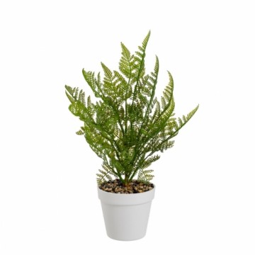 Decorative Plant Polyethylene Plastic Fern 26 x 26 x 45 cm