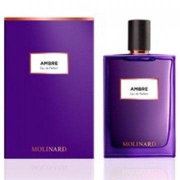 Les Elements Collection: Ambre EDP